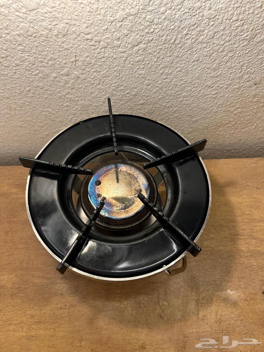 Davor with head on offer64578869015811111