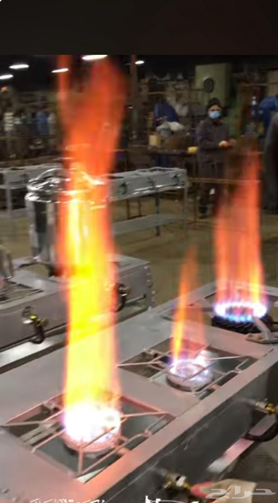 قز 3 عيون64578409579778112