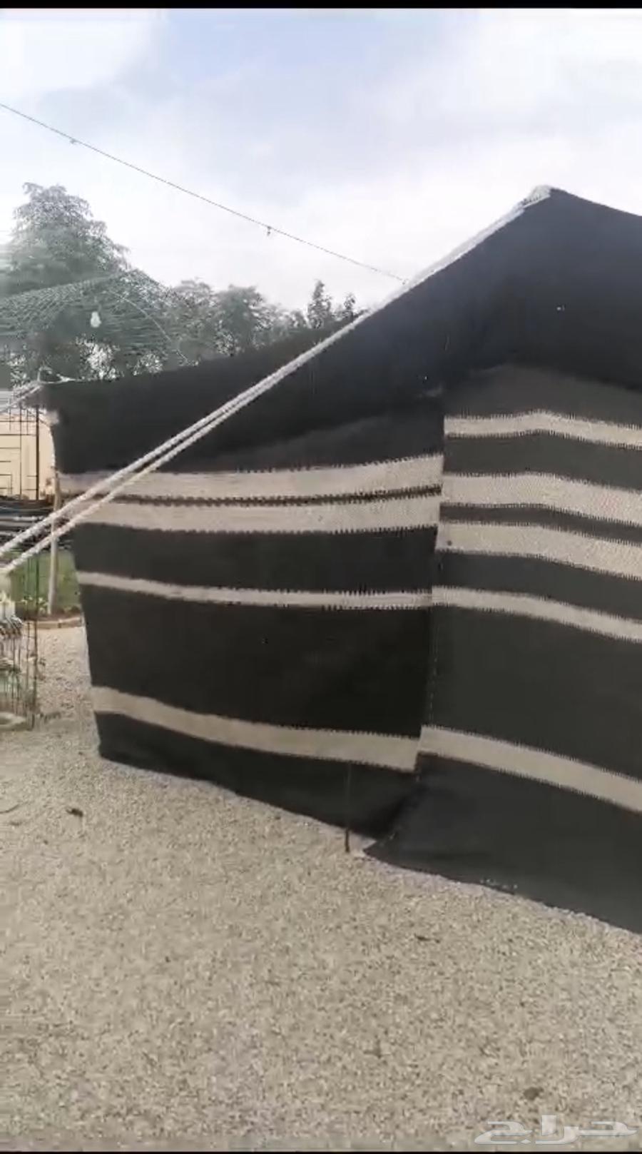 بيت شعر اصلي تركي يكترب مع الماء مقاس 9 564580061536001110