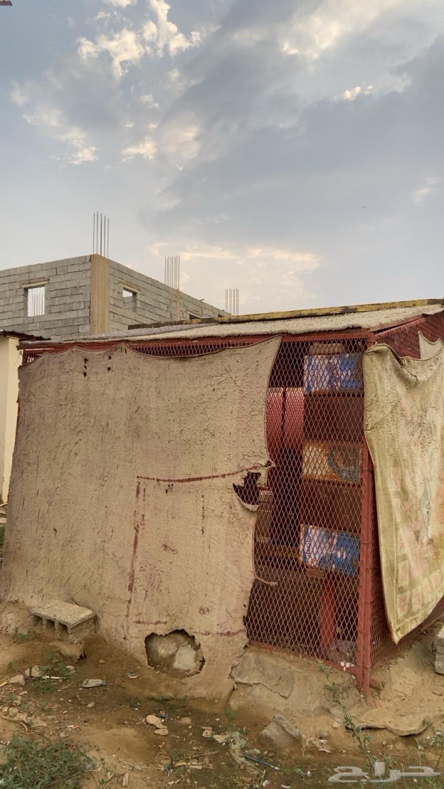 شبك حديد للبيع64584813660675112