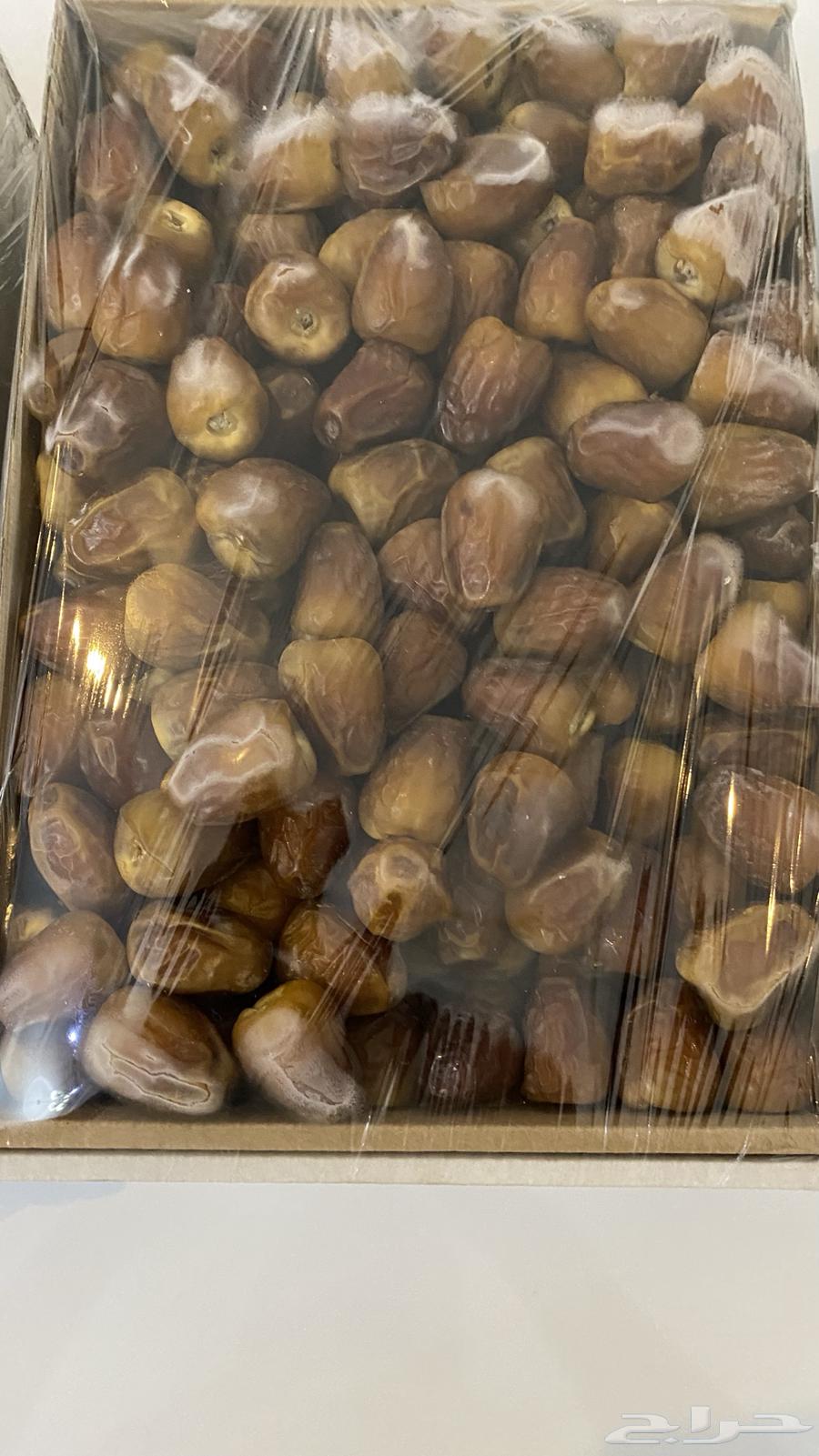 New Season Dates 1447 Sakkery Miftal, Galaxy and Soghi Luxury64586613864577113