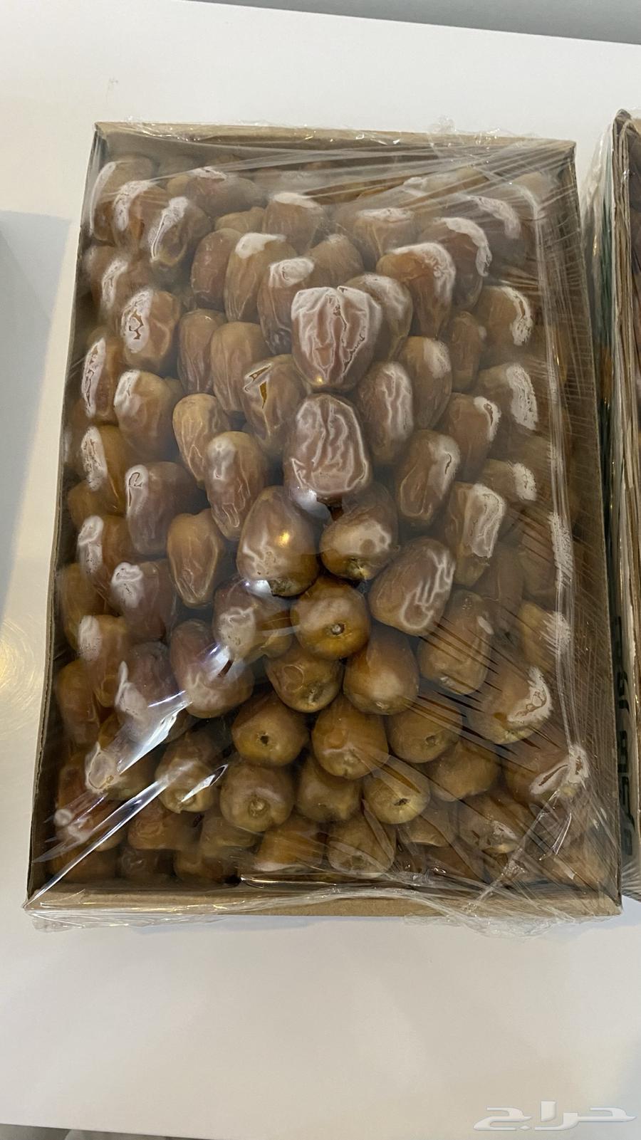 New Season Dates 1447 Sakkery Miftal, Galaxy and Soghi Luxury64586613864577112