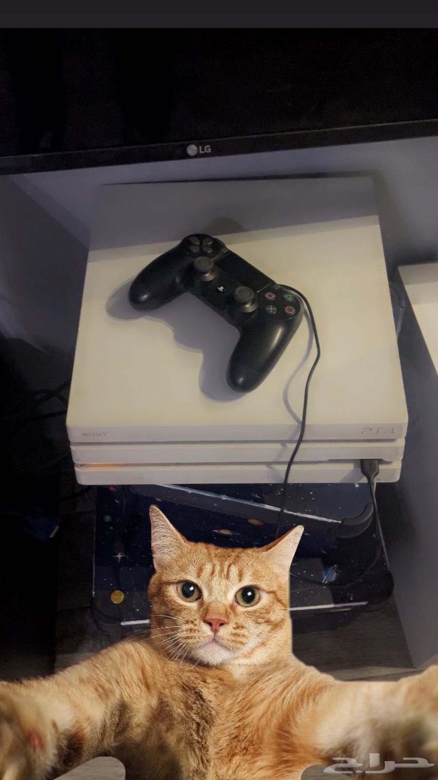 سوني 4 أعلى فئة64587010152577112