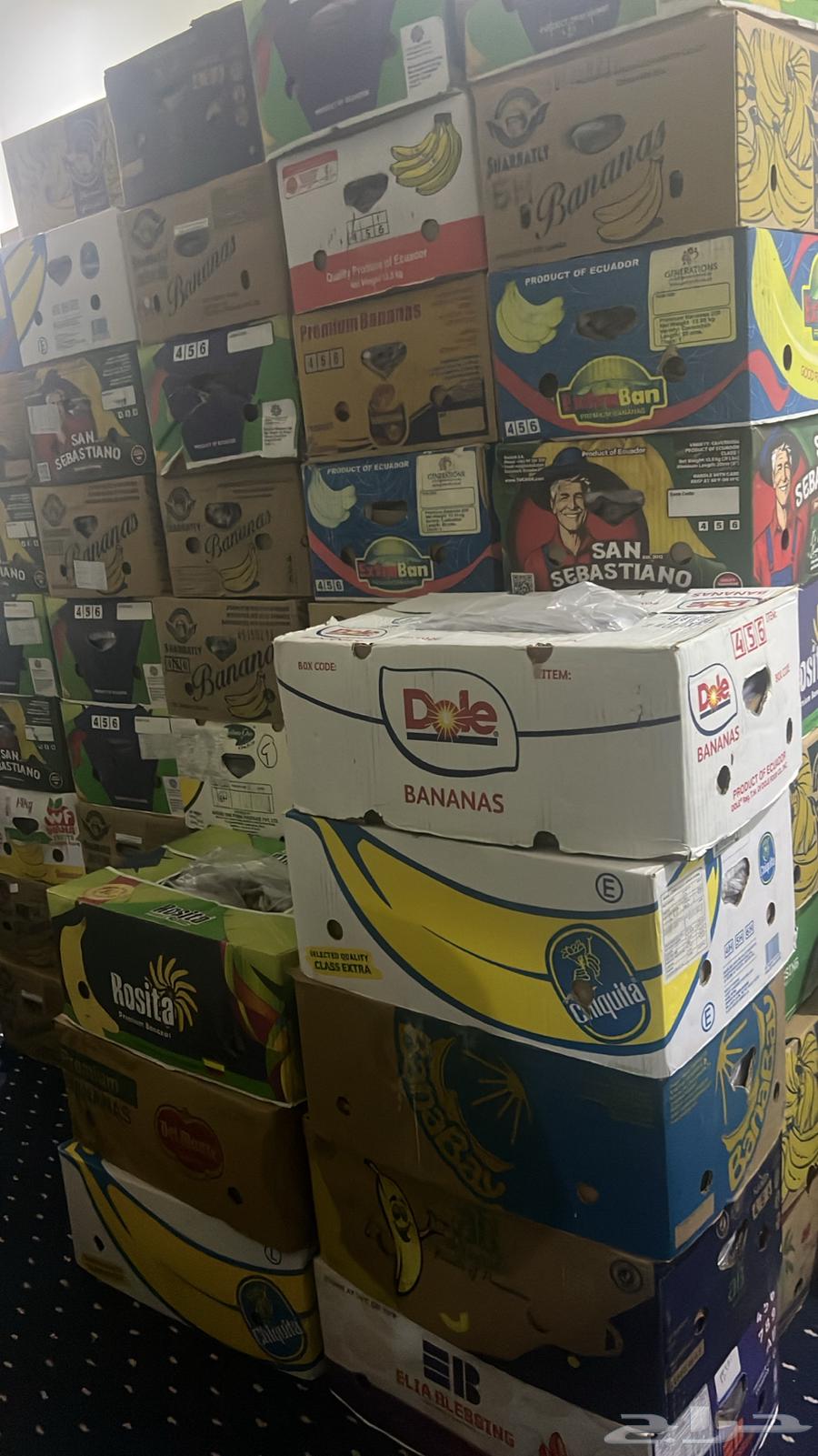 Luxury Sari Dates64584813669891111