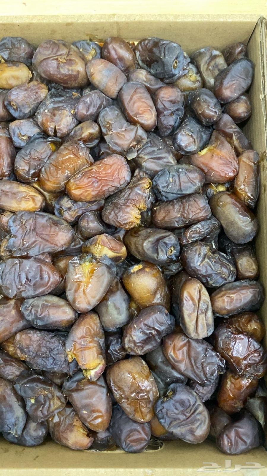 ونانه متمره للبيع64584856020610111