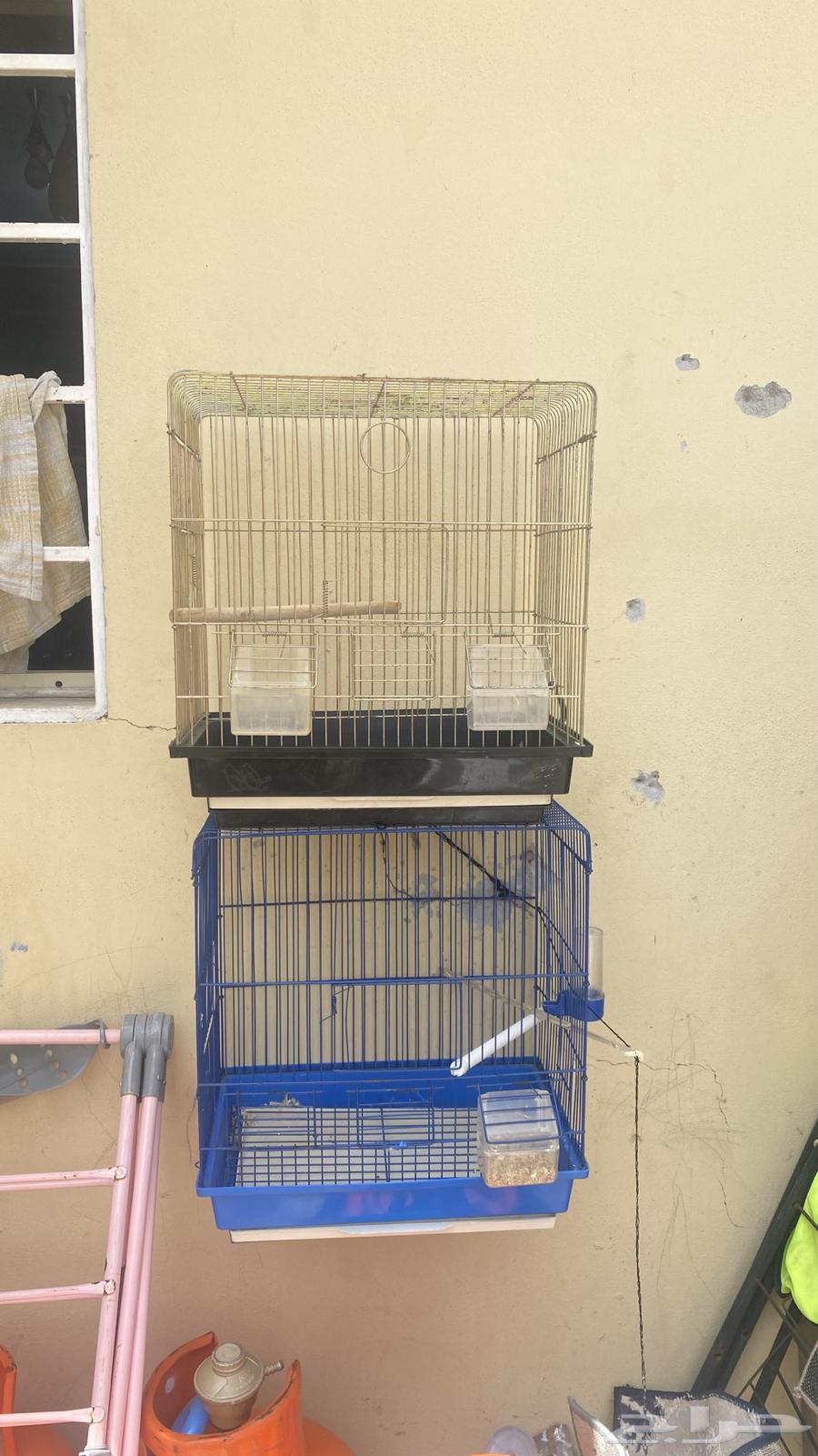 اقفاص للبيع64581856072323110