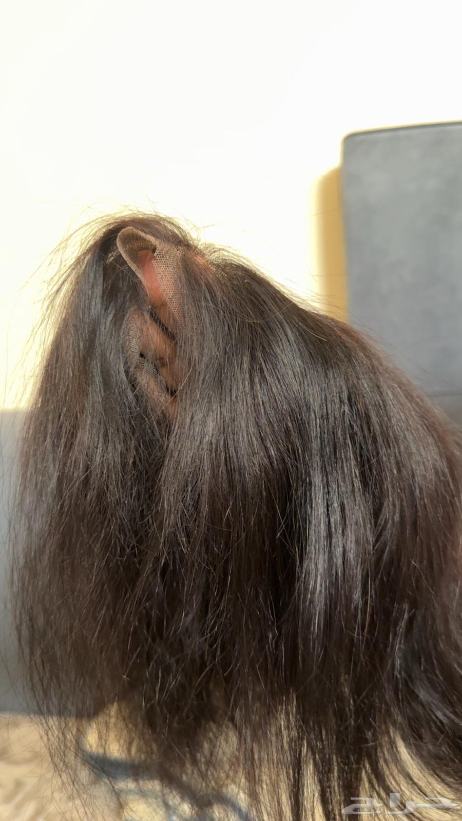 باروكه شعر طبيعي64583527476481111