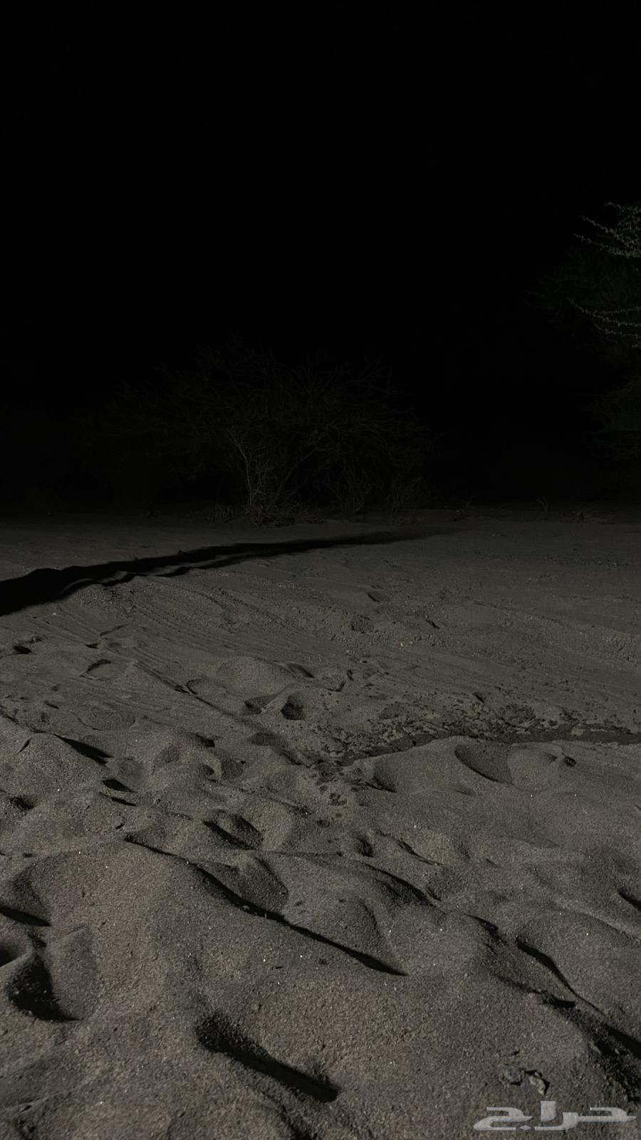 سيكل نضيف ناقصه لستك64580963189378112