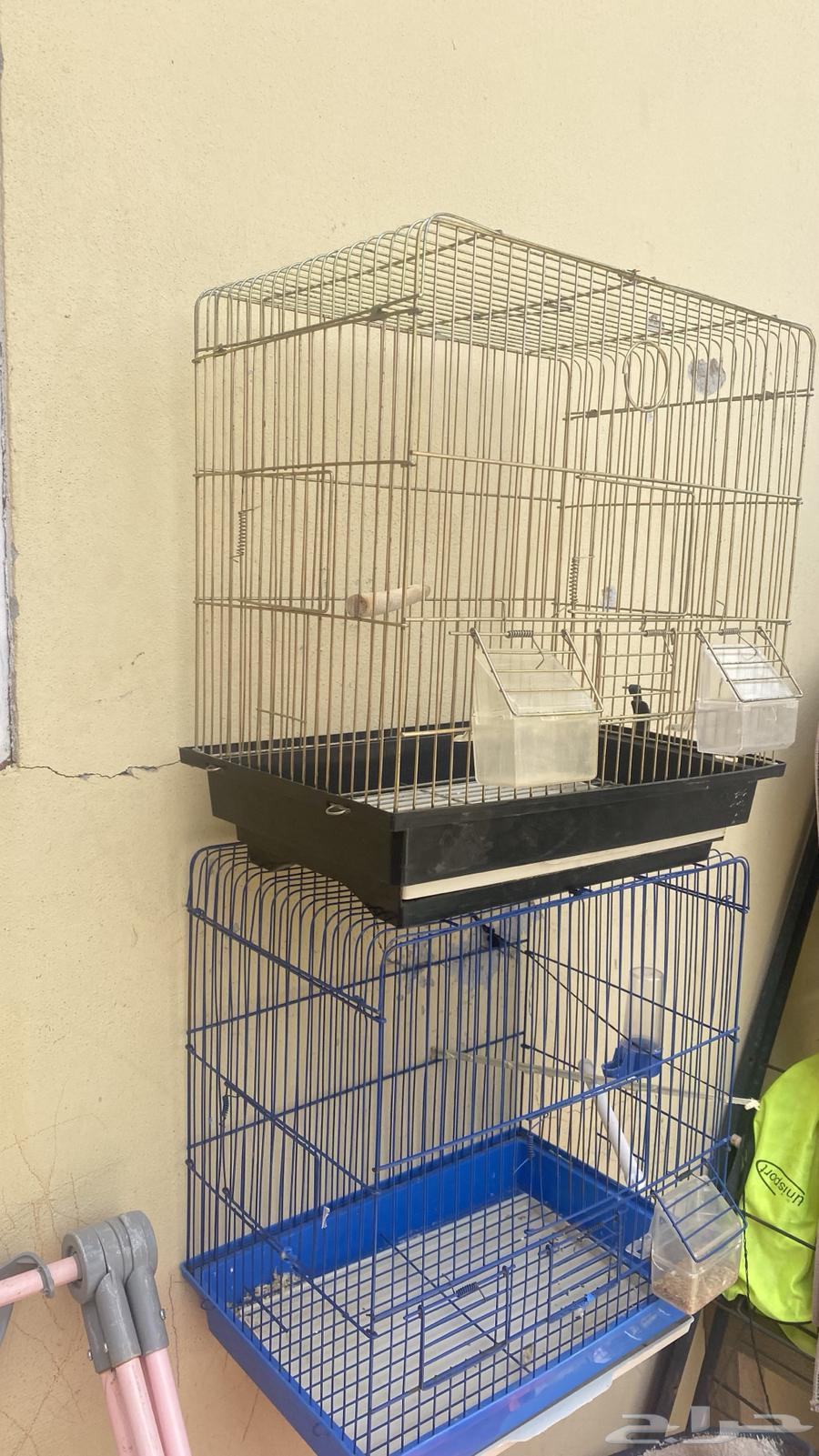 اقفاص للبيع64581856072323112