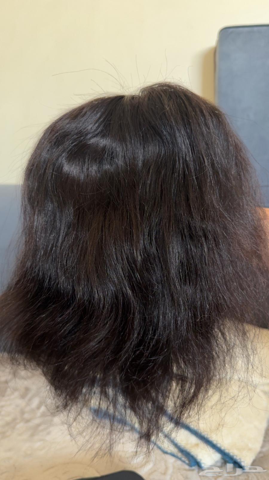 باروكه شعر طبيعي64583527476481110