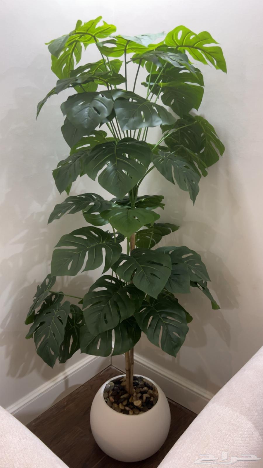 مركن جديد للبيع 13064581183151233111