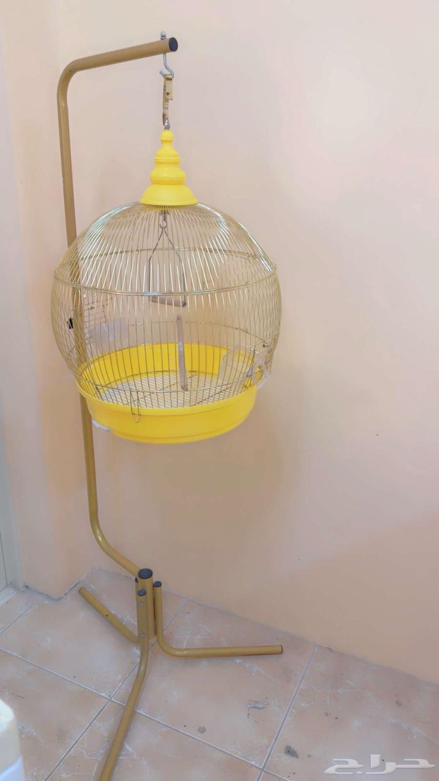 براد ماي مكنسه تلفزون قفص طاوله دفايه سير مشي64583625760899113