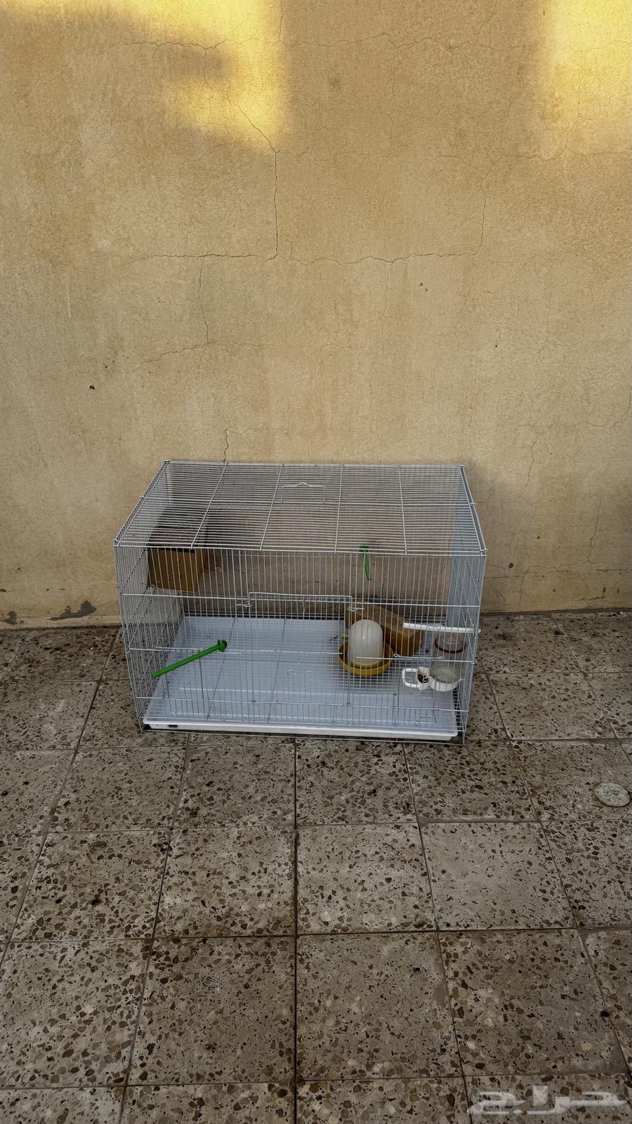 قفص عصافير نظيف64584461311745110