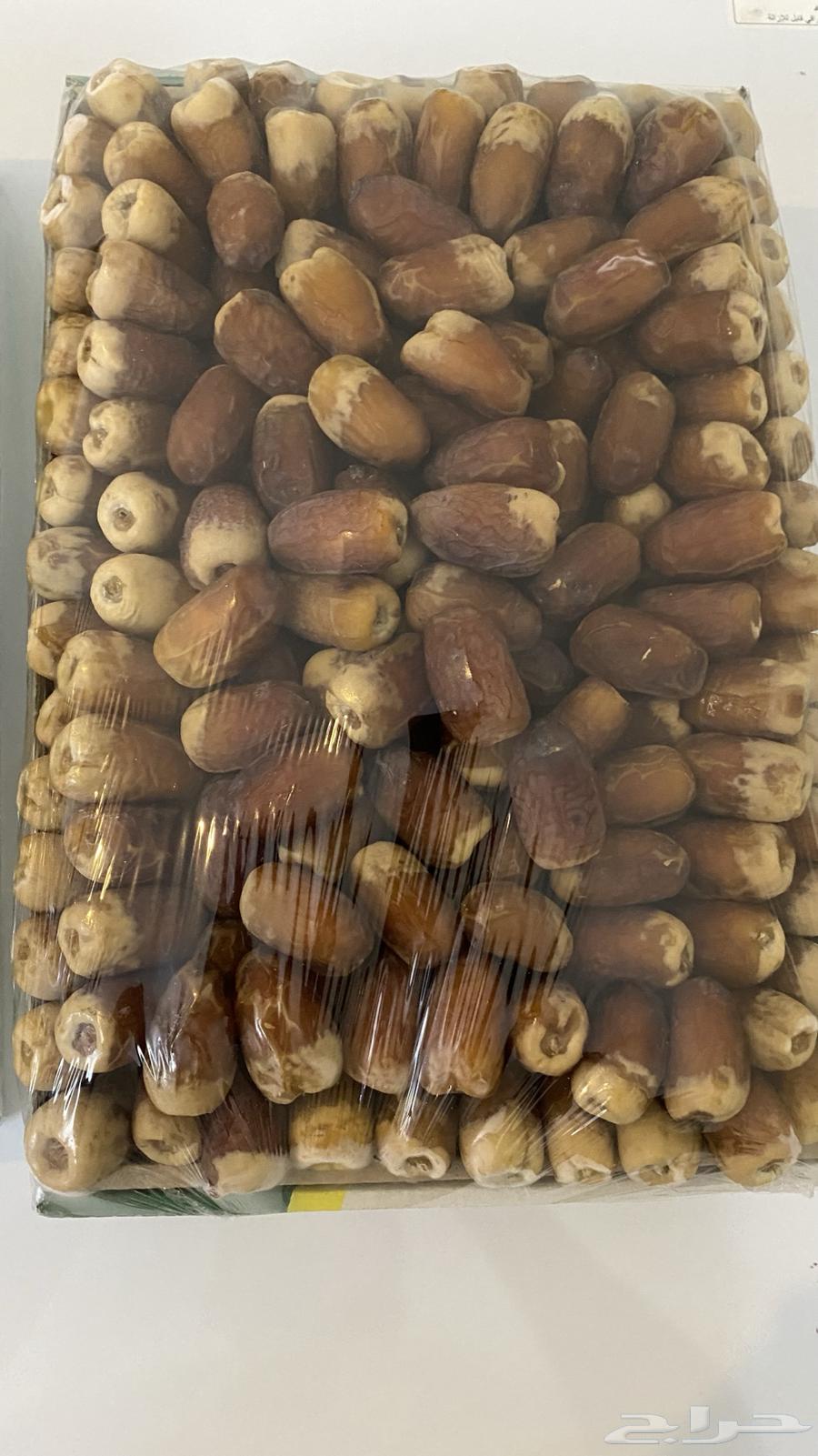 New Season Dates 1447 Sakkery Miftal, Galaxy and Soghi Luxury64586613864577114