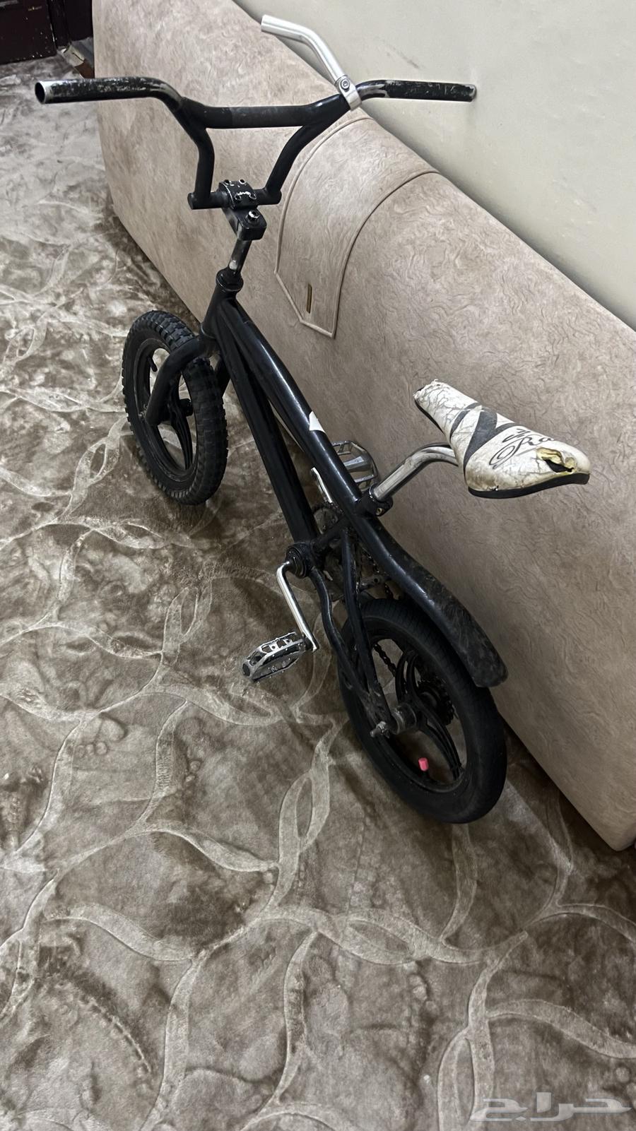 Cycle64583208041219110