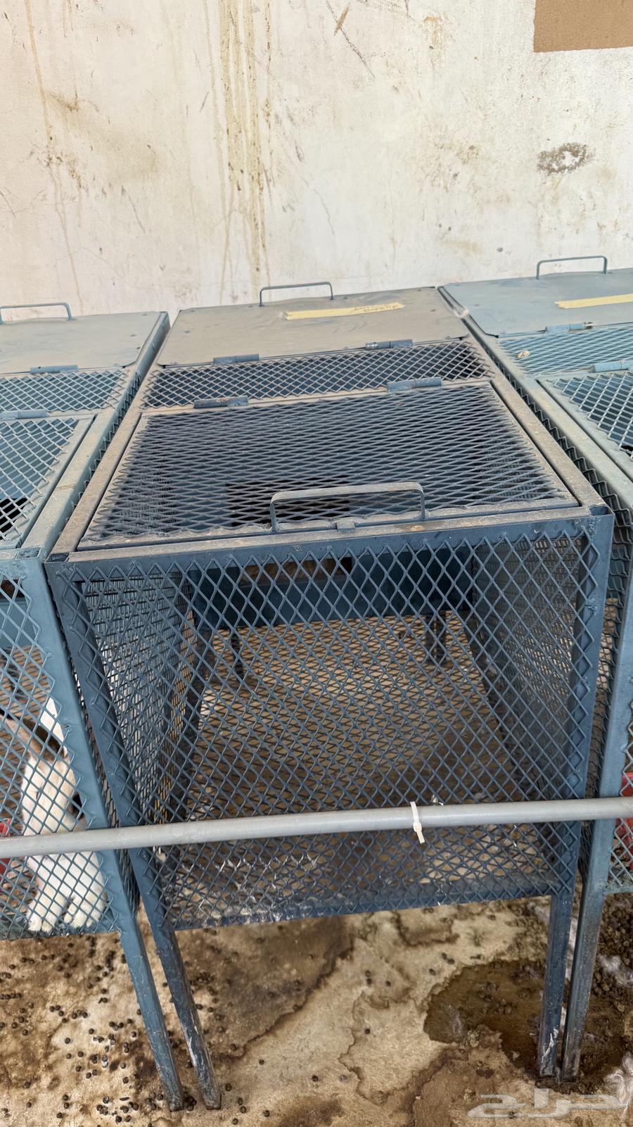 بطاريات ارانب64585295346434110