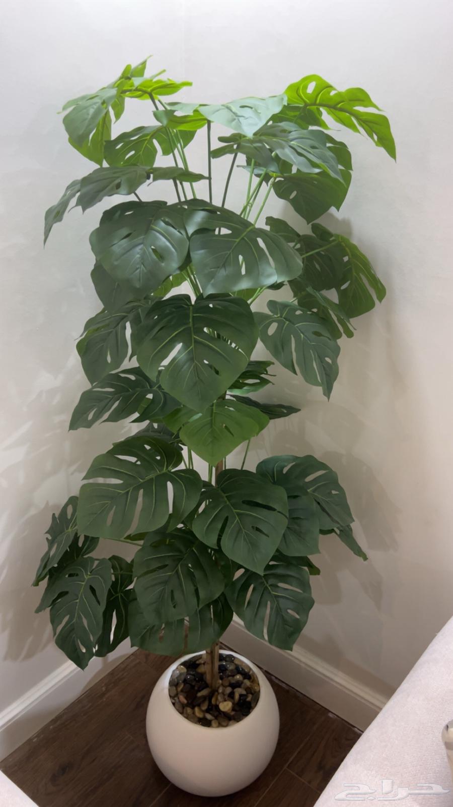 مركن جديد للبيع 13064581183151233110