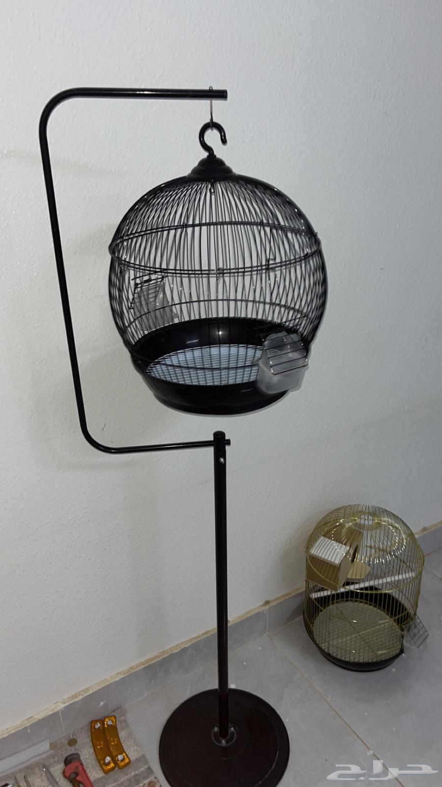 قفص لحال وقفص معا قاعده على السوم64586576551937110