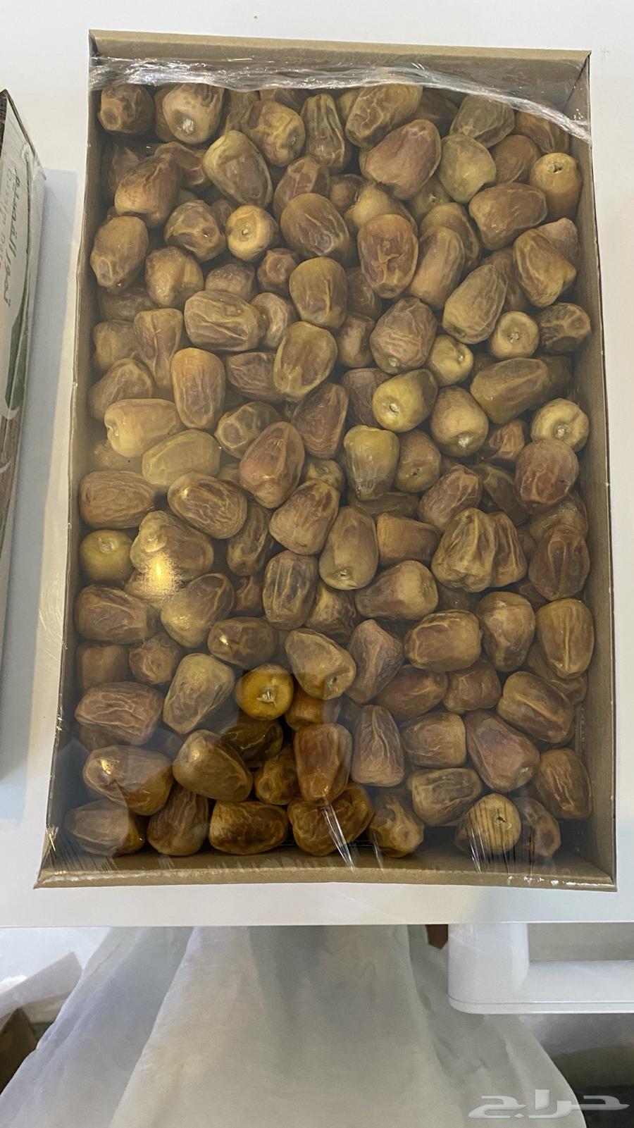 New Season Dates 1447 Sakkery Miftal, Galaxy and Soghi Luxury64586613864577111