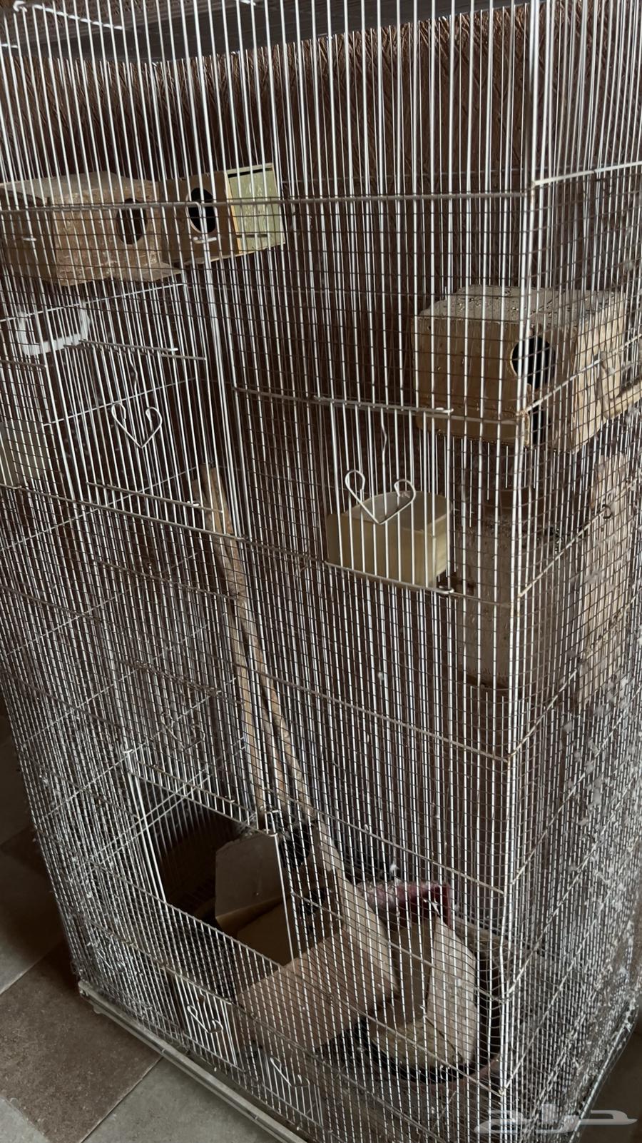 اقفاص طيور للبيع64584687601921112