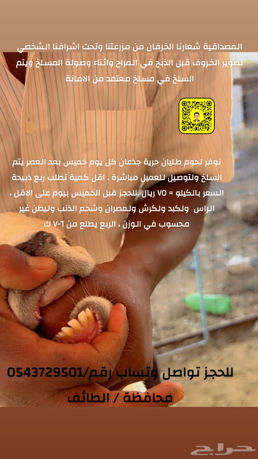 رخال حري للبيع64581402155394110