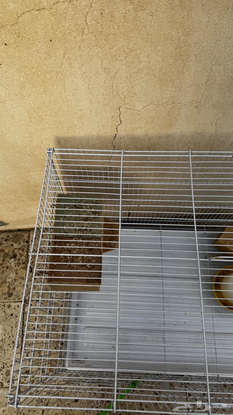 قفص عصافير نظيف64584461311745113