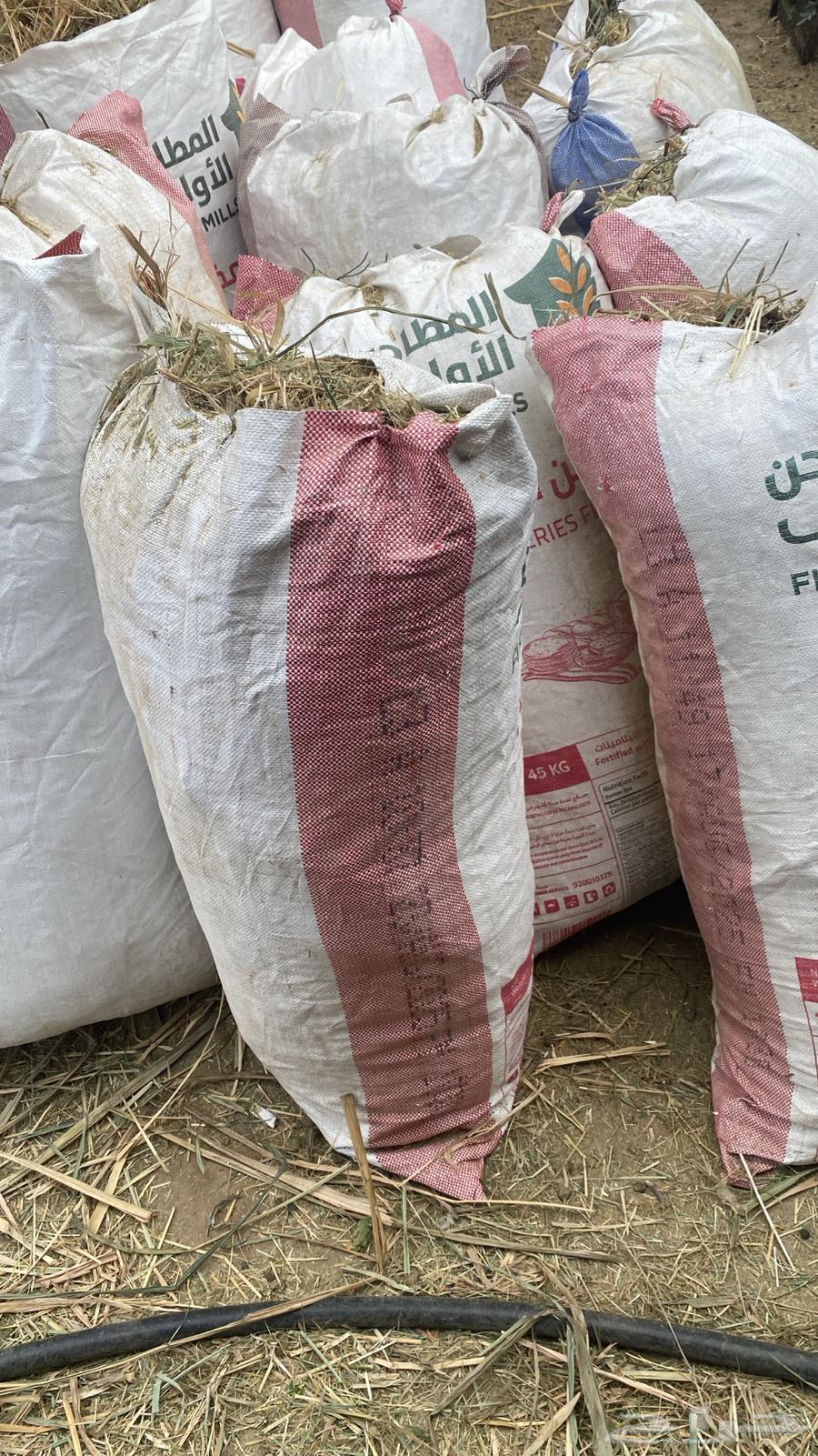 علف من المزرعه64581593886465112