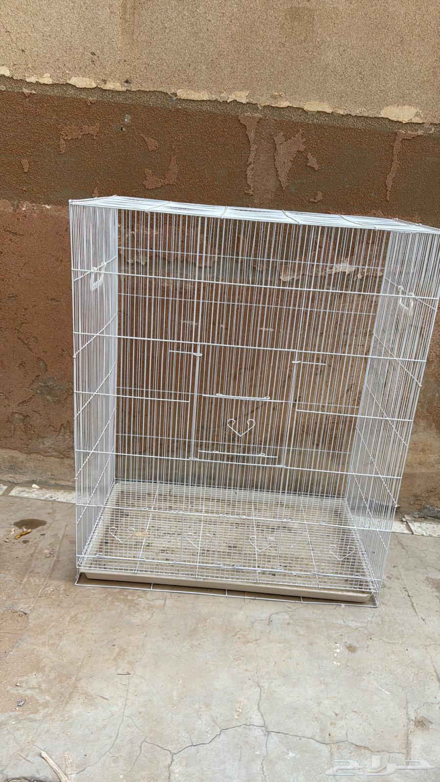 شبك طيور64584799581827111