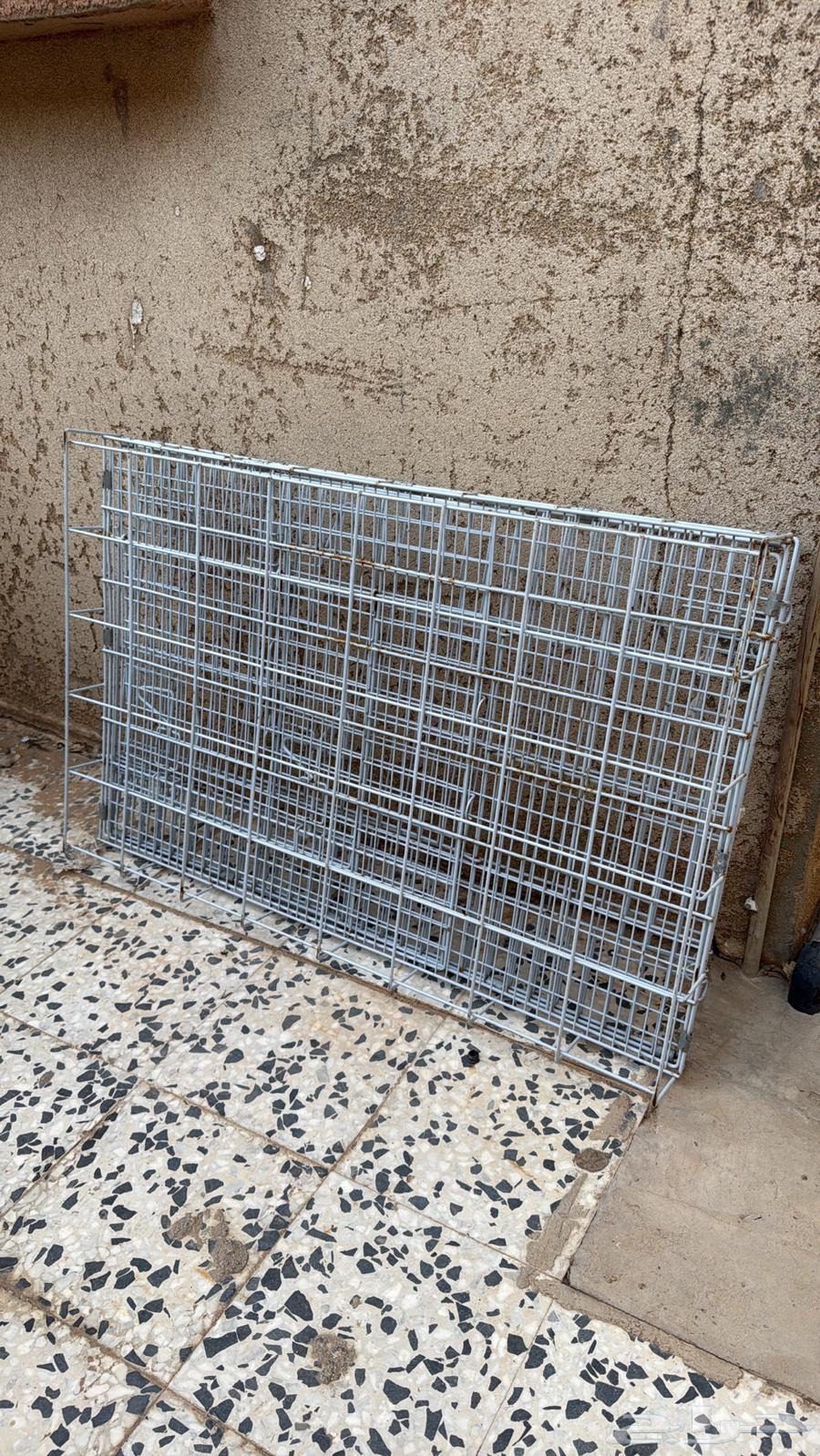 شبك طيور64584799581827110