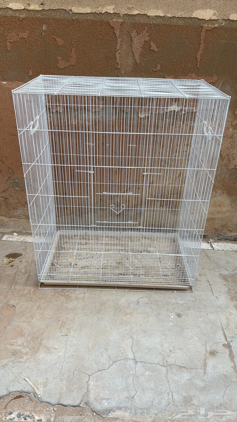 شبك طيور64584799581827113