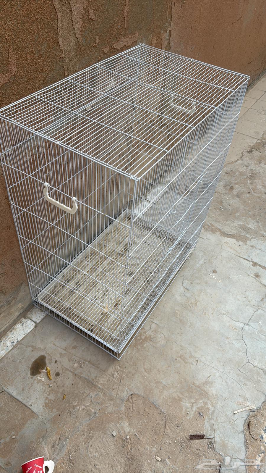 شبك طيور64584799581827112