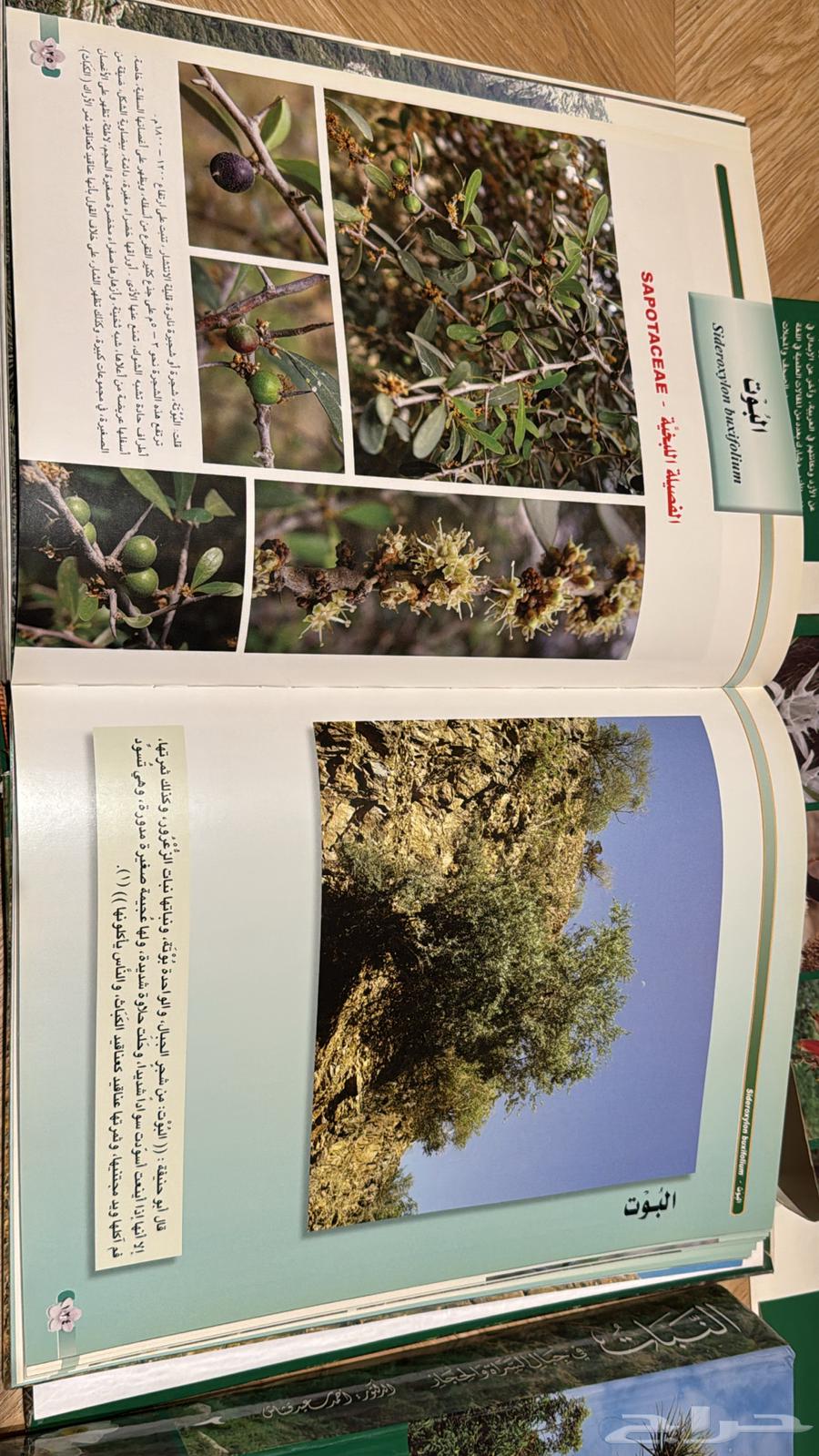 كتاب نادرة ومميزة64588161211650112