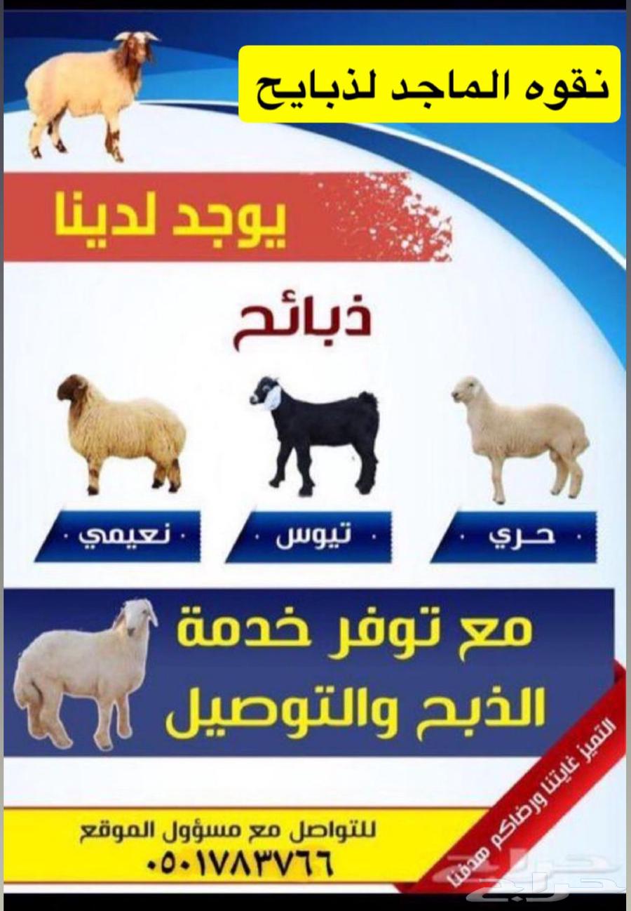 ذبايح للبيع64581483919235110