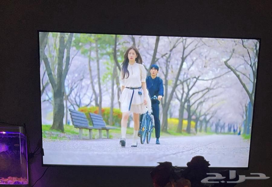 تلفزيون للبيع64586041644163110