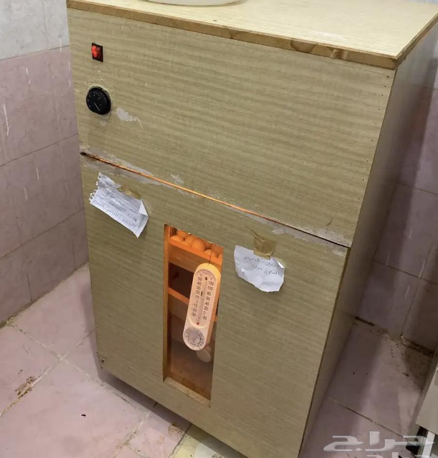 Small incubator64513714964866110