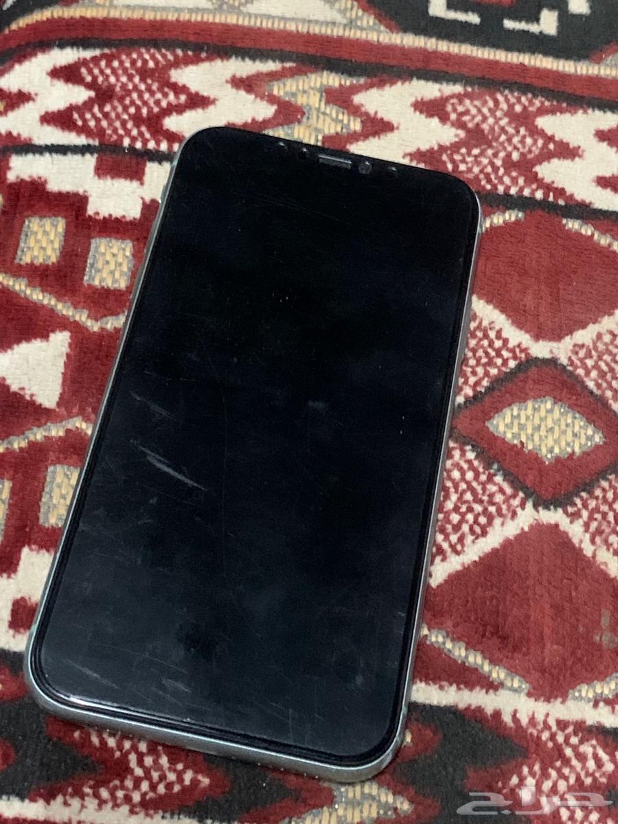 iPhone 11 regular64585893667842111