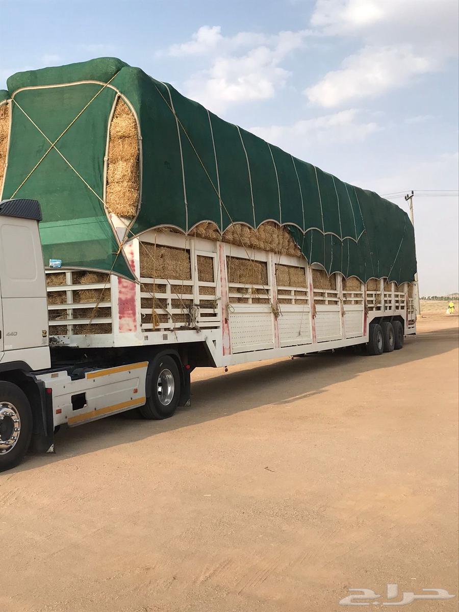 تبن بر 90 8564582103748867110