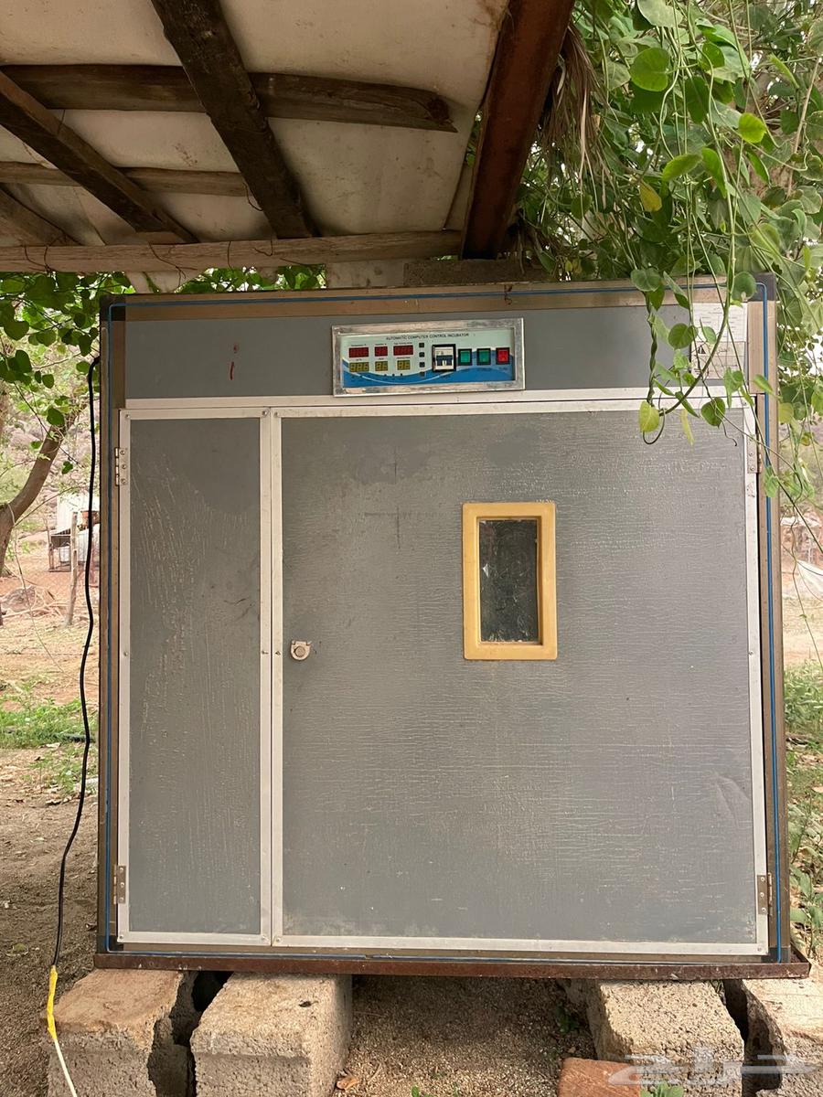 فقاسة سعة 1056 بيضة64586626250755110