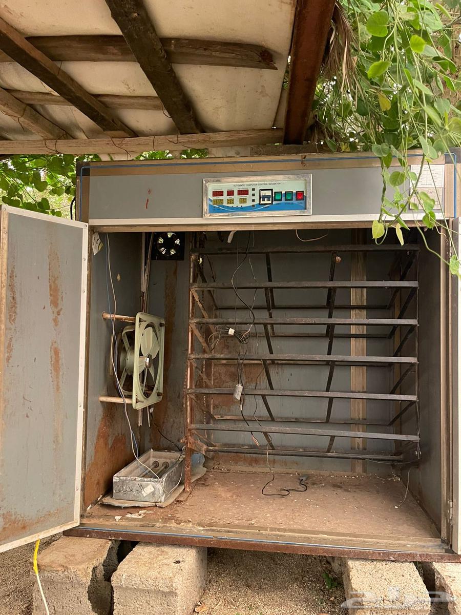 فقاسة سعة 1056 بيضة64586626250755111