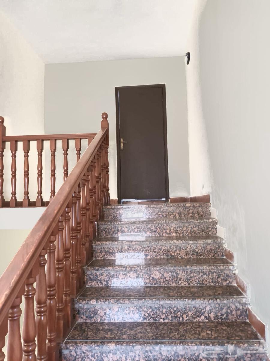 شقة للإيجار