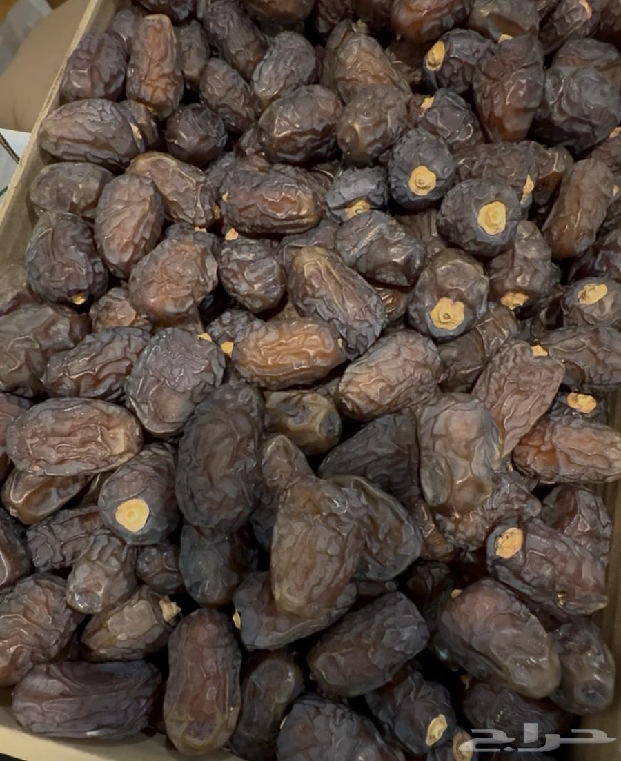 سكرية حمراء مفتل مبروم جلكسي64581141552513110