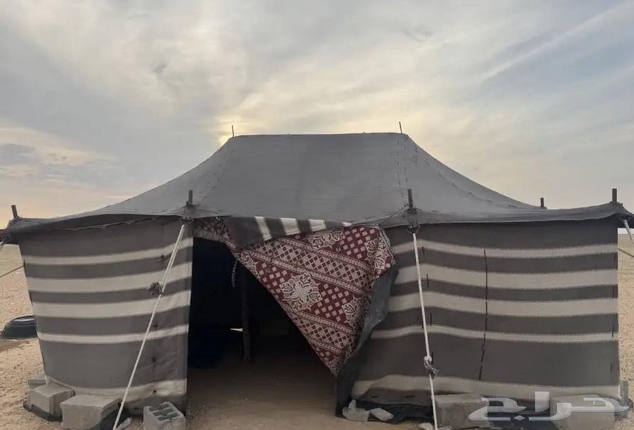 بيت شعر مبطن يحتاج أوتاد فقط64579787389442110