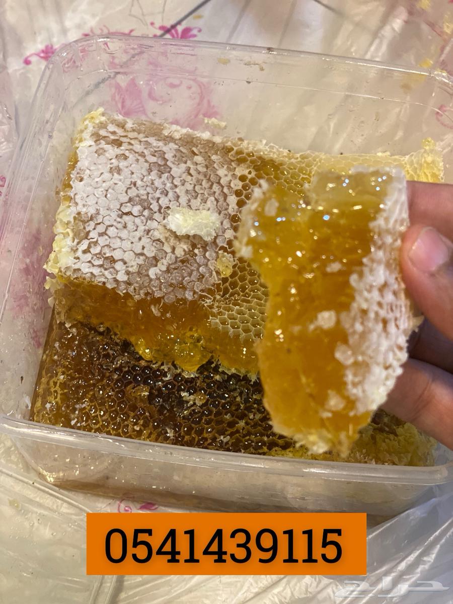 عسل عروض اليوم الوطني64582131901954111