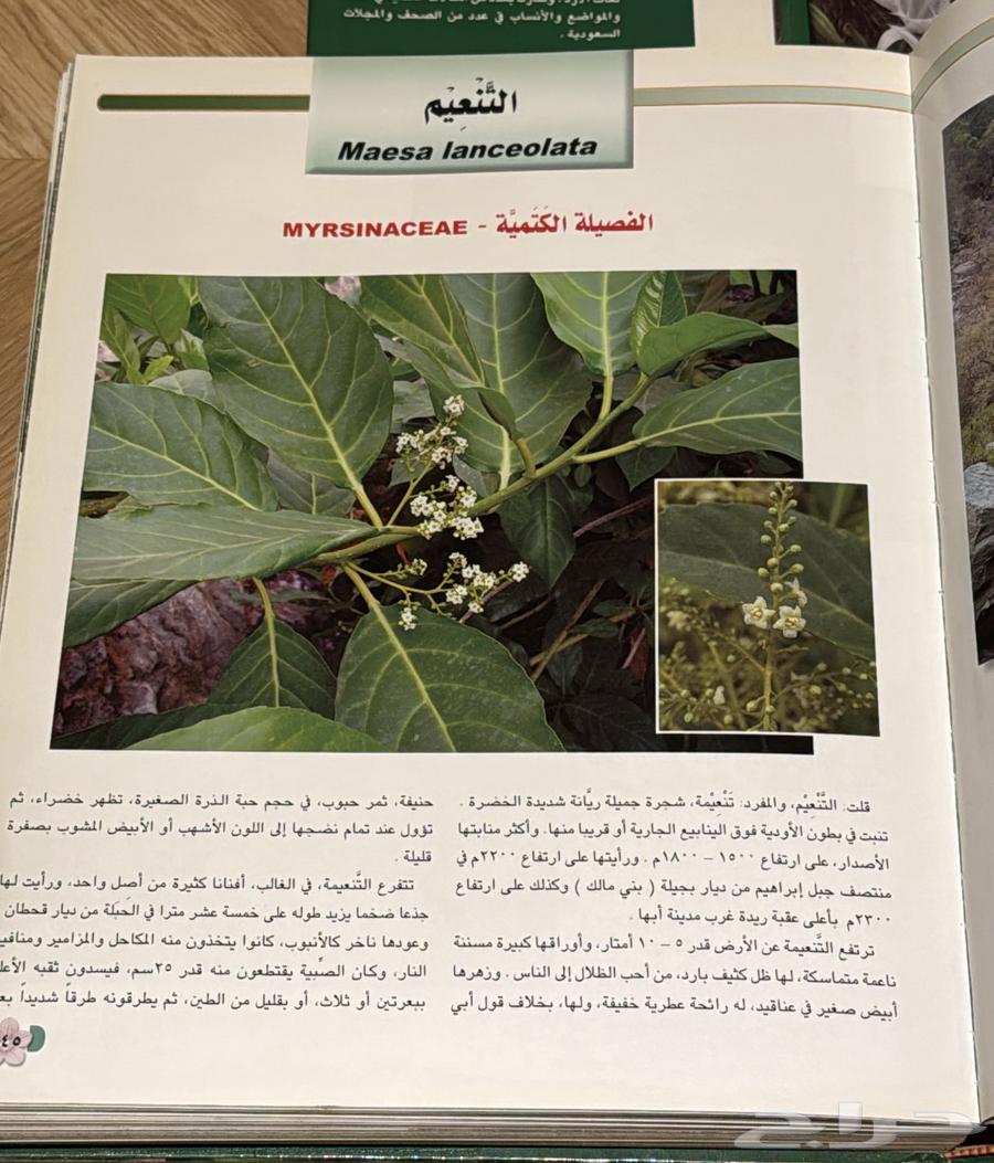 كتاب نادرة ومميزة64588161211650113