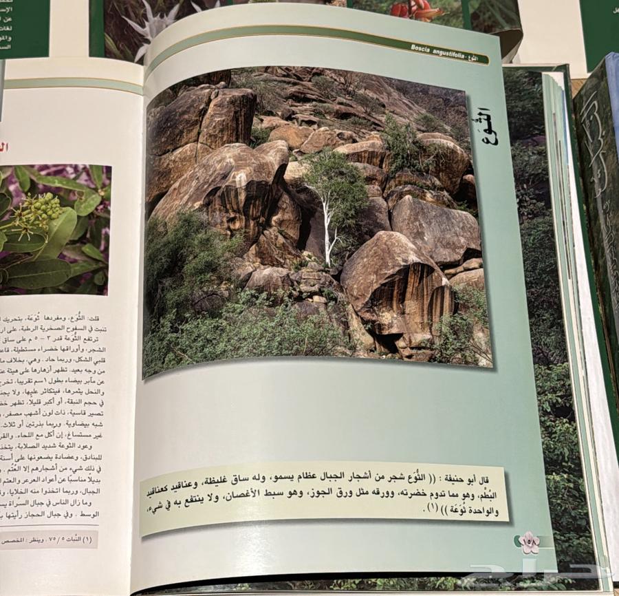 كتاب نادرة ومميزة64588161211650114