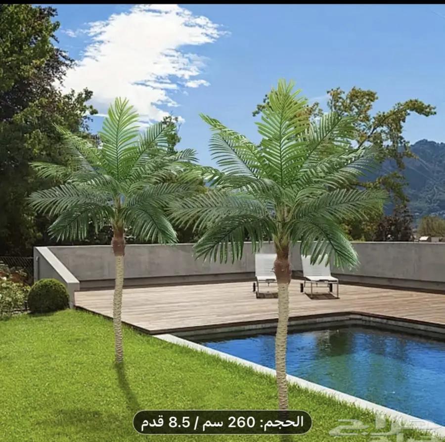 نخل صناعي السعر 350 فقط64585782743298110