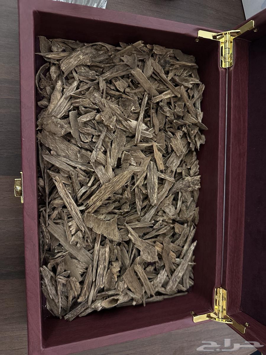 دقة عود ماليزي وكلمنتان طبيعي سوبر مرتفع64580636074498110