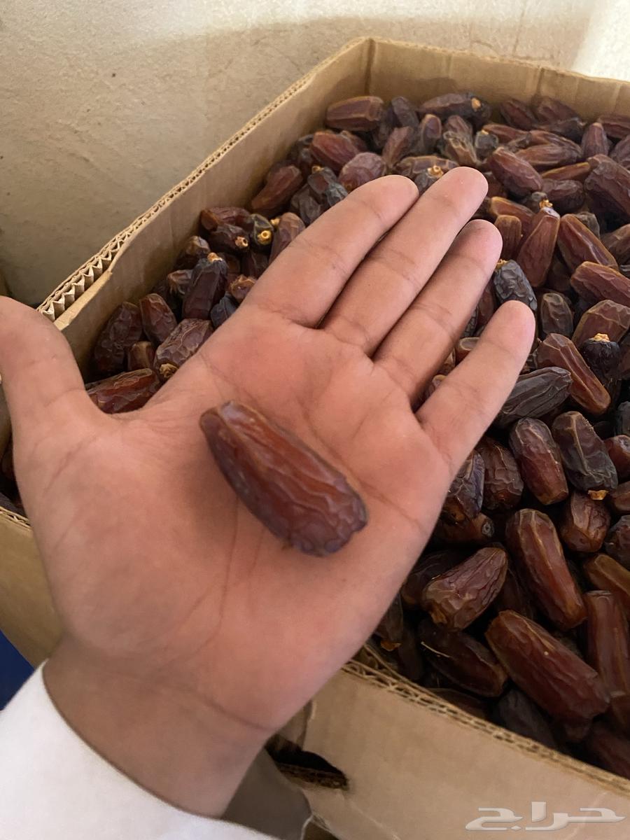 تمور للبيع حق السنة هاذي64582581194882112