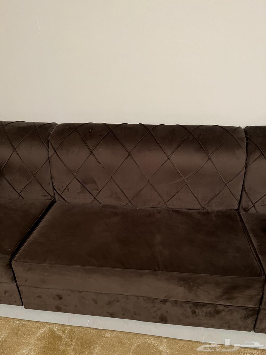 Sofa64585067899778111
