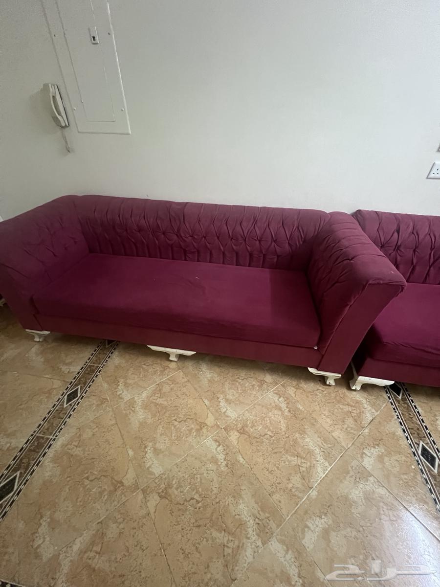 كنب احمر استعمال سنه64586687915138110